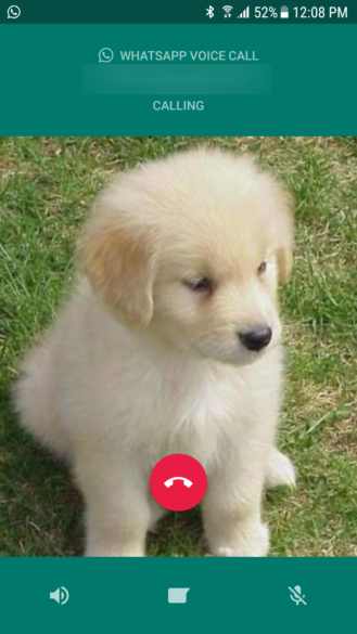 WhatsApp now allows to share any file types, bundle shared media and now a revamped call screen 4 WhatsApp now allows to share any file types, bundle shared media and now a revamped call screen 4